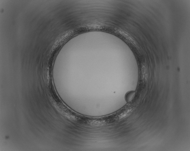 X0000072940494200608181345