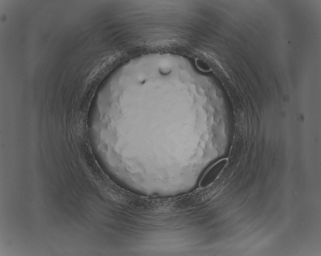 X0000072940495200608181345