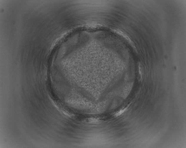 X0000072940496200608181344