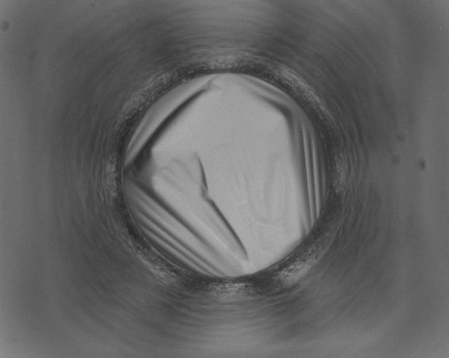 X0000072940497200608181344