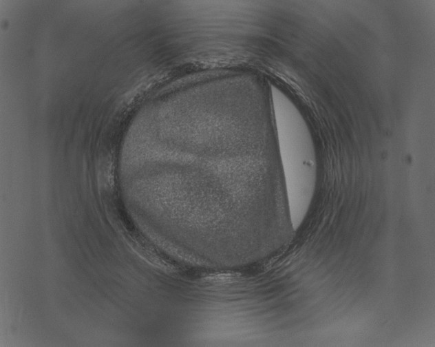 X0000072940499200608181344