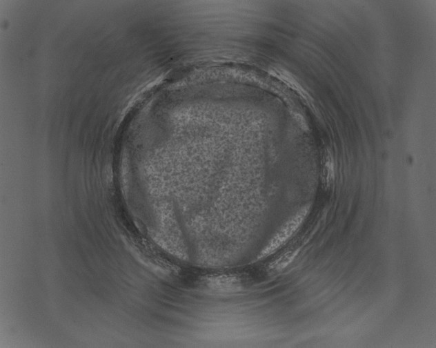 X0000072940500200608181344