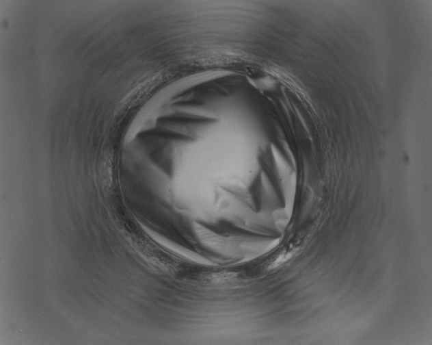 X0000072940501200608181344