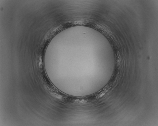 X0000072940502200608181344