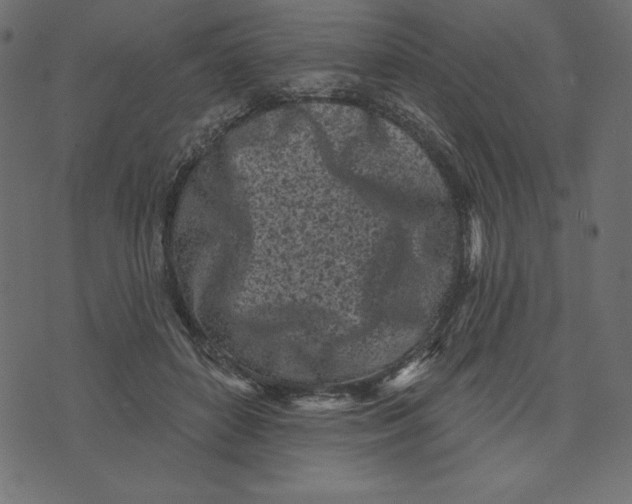 X0000072940504200608181344