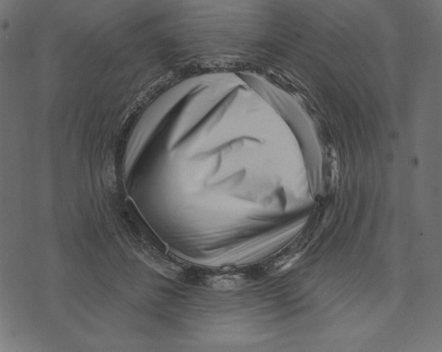 X0000072940508200608181344