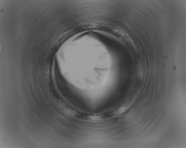 X0000072940509200608181344