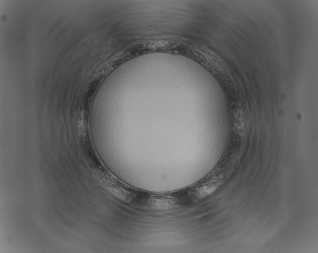 X0000072940510200608181344