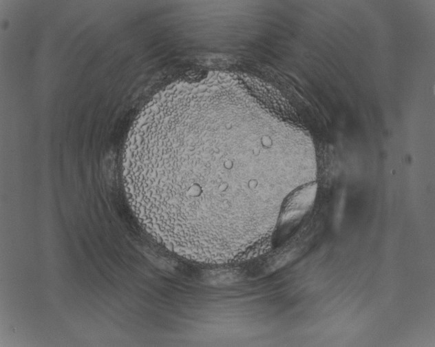 X0000072940511200608181344