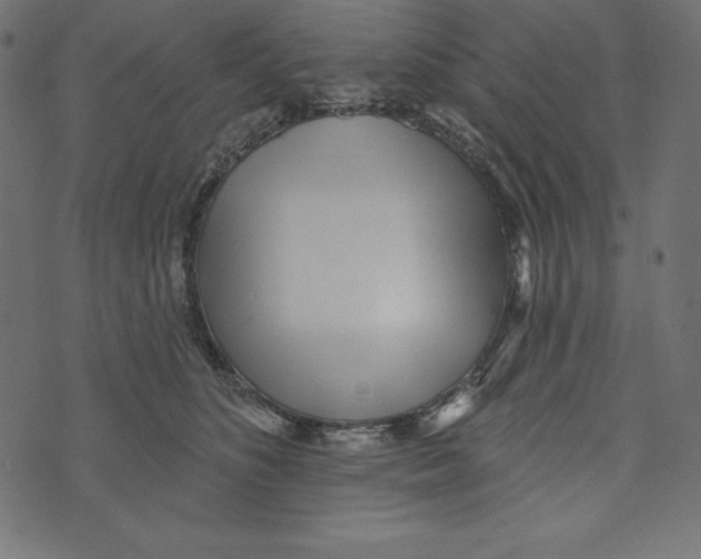 X0000072940516200608181344