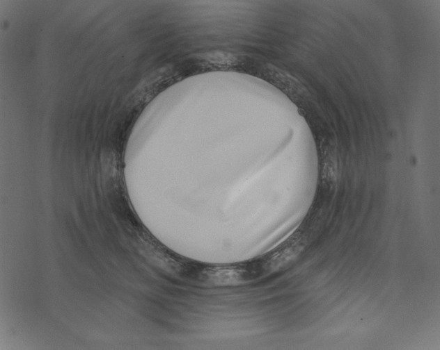 X0000072940518200608181344