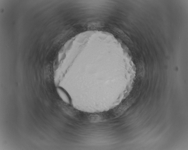 X0000072940519200608181344