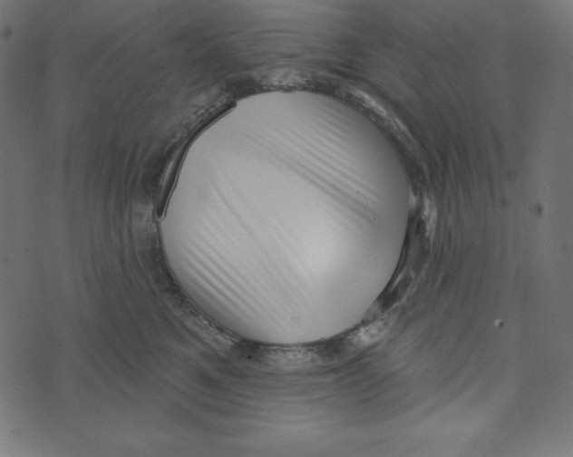 X0000072940521200608181344