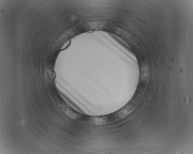 X0000072940522200608181344