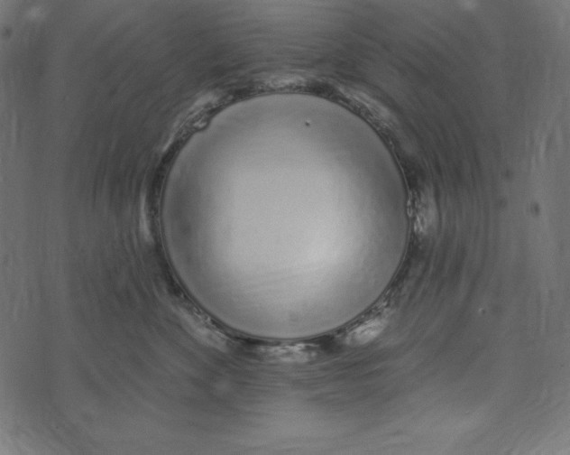 X0000072940524200608181344