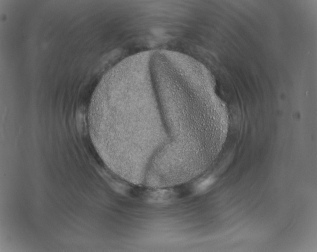 X0000072940527200608181344