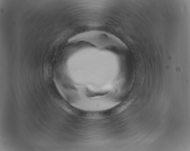 X0000072940528200608181344