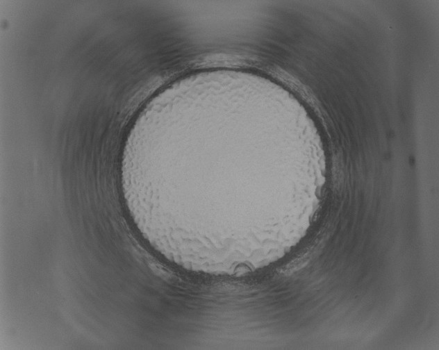 X0000072940529200608181343