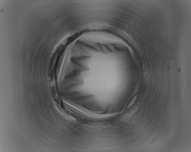 X0000072940530200608181343