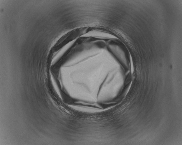 X0000072940532200608181343