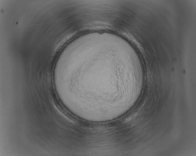 X0000072940533200608181343