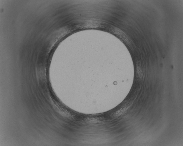 X0000072940534200608181343