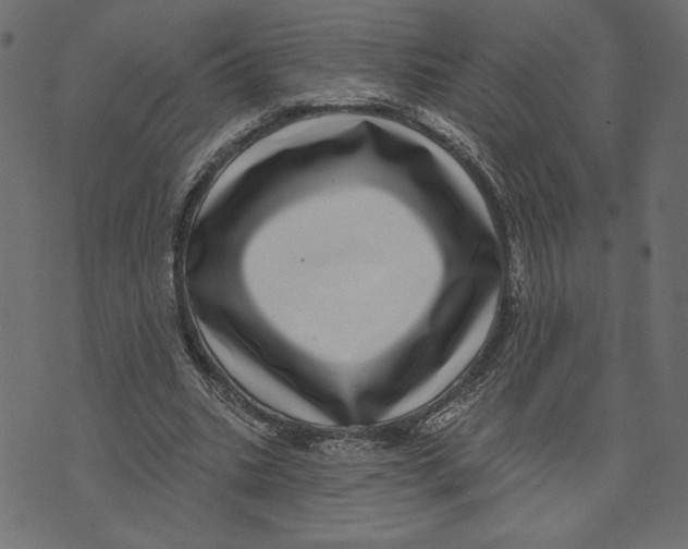 X0000072940535200608181343