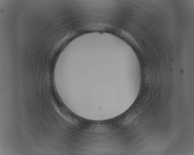 X0000072940538200608181343