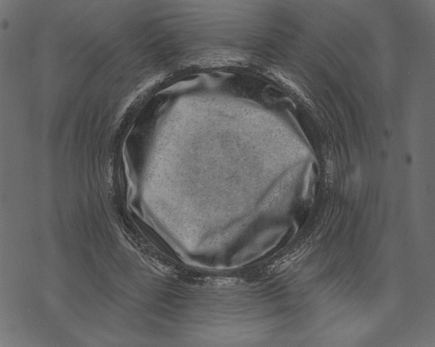 X0000072940539200608181343