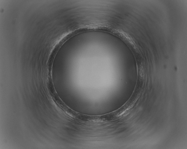 X0000072940540200608181343