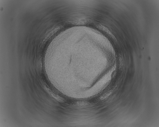 X0000072940541200608181343