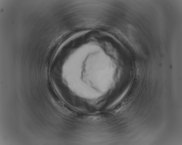 X0000072940542200608181343