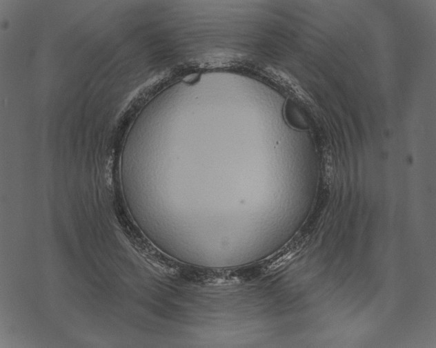 X0000072940543200608181343