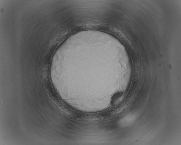 X0000072940545200608181343