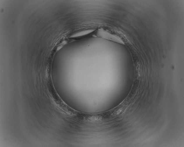 X0000072940546200608181343