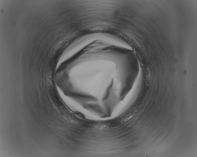 X0000072940547200608181343