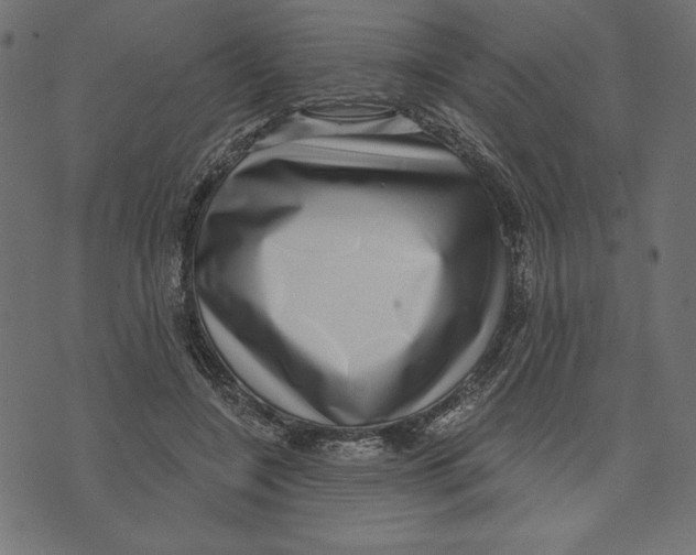 X0000072940548200608181344