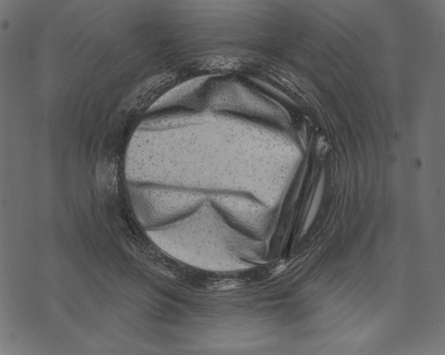 X0000072940551200608181344