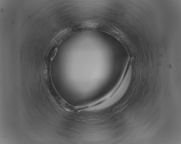 X0000072940552200608181344