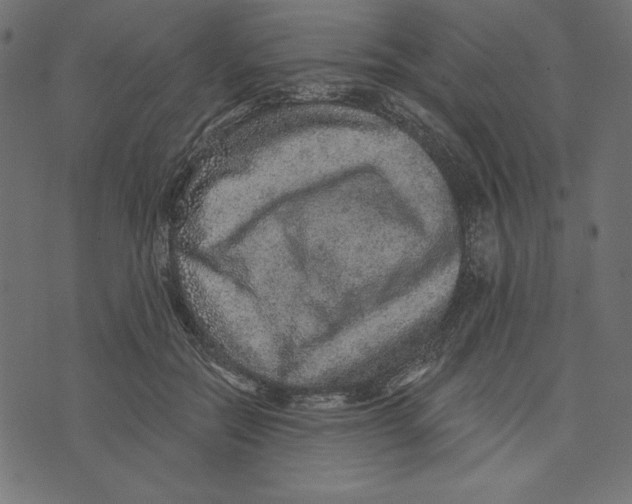 X0000072940554200608181344