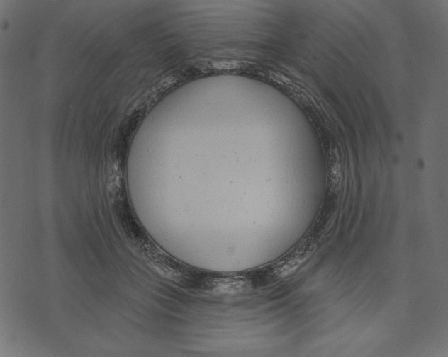 X0000072940555200608181344