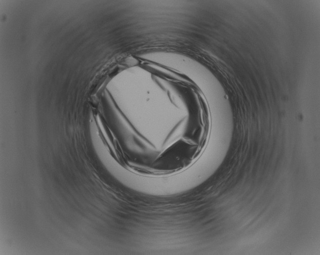 X0000072940556200608181344