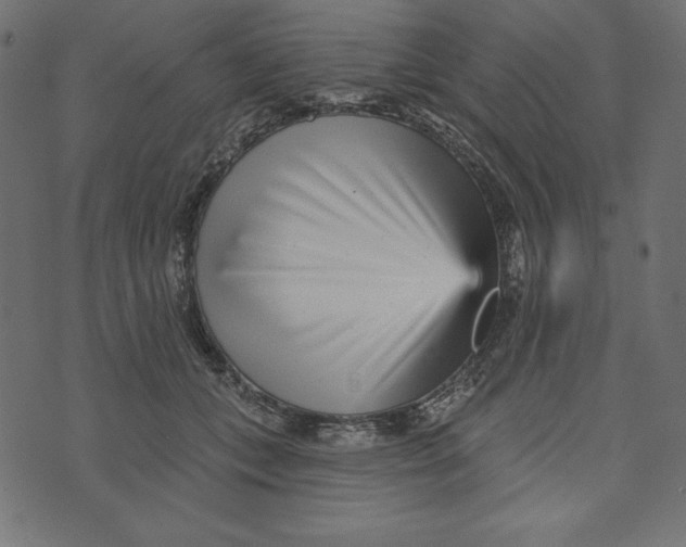 X0000072940559200608181344