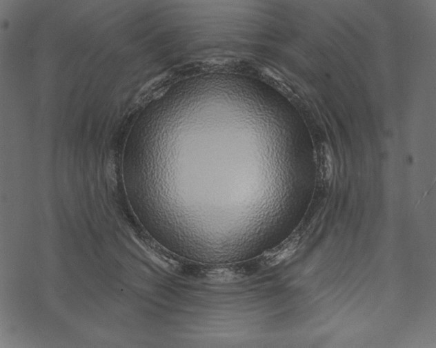 X0000072940562200608181344