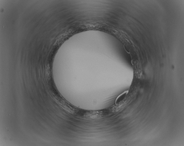 X0000072940563200608181344