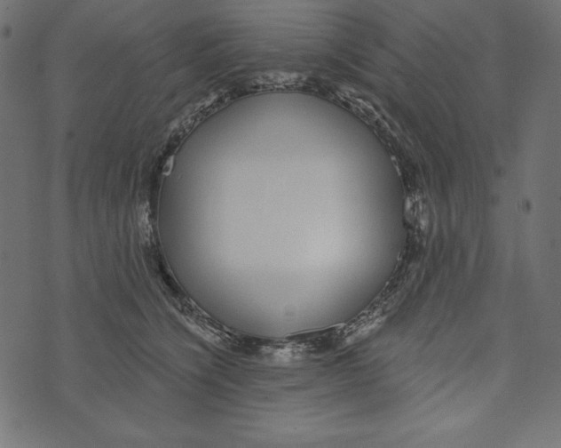 X0000072940564200608181344