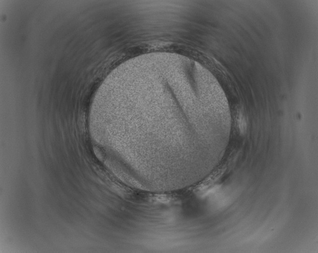 X0000072940565200608181344