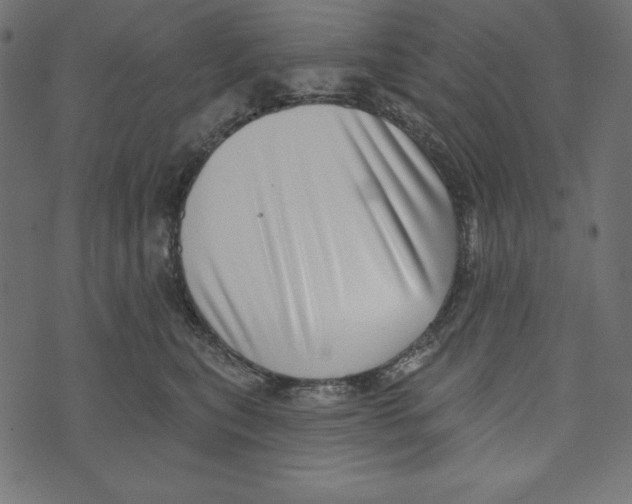 X0000072940567200608181344