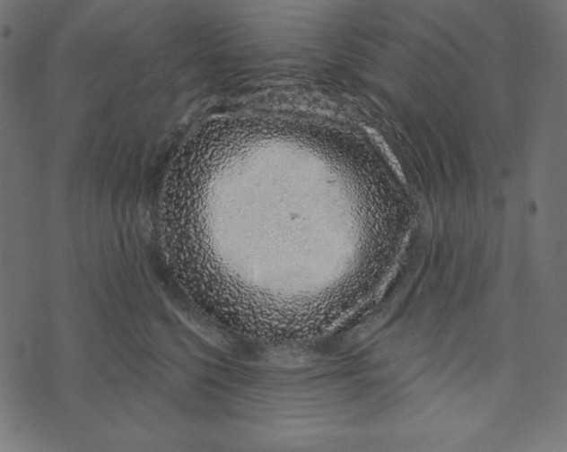 X0000072940568200608181344