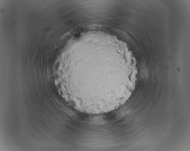 X0000072940569200608181344